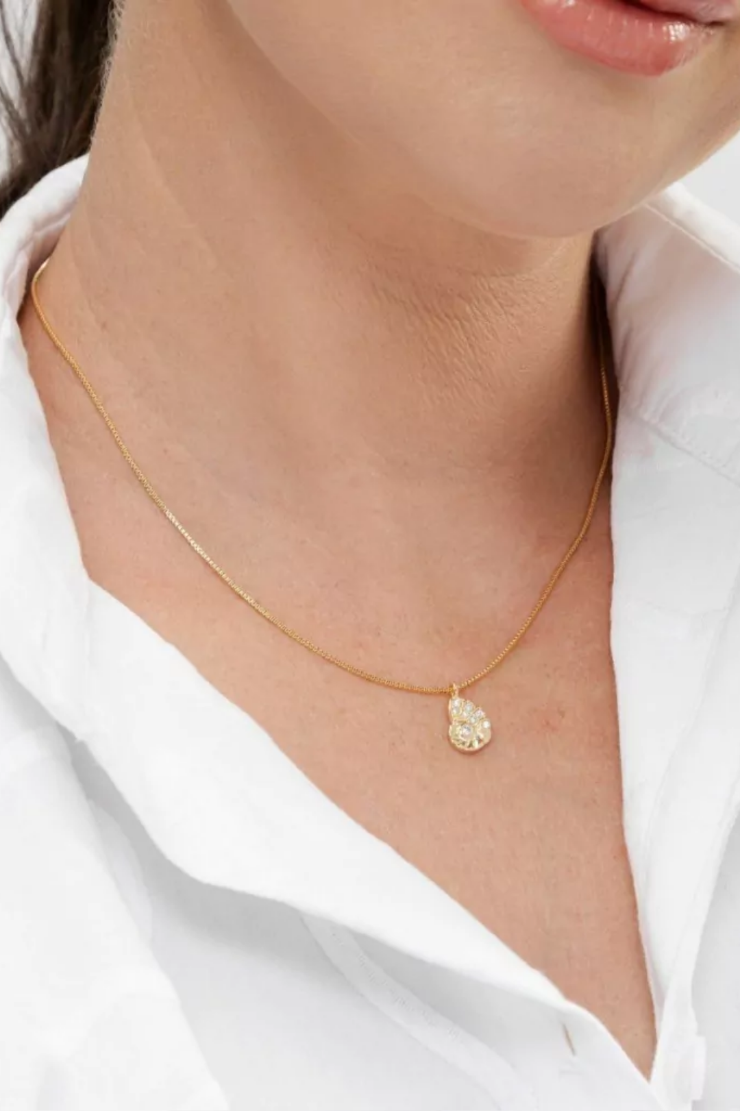 Colar conchas cravejadas